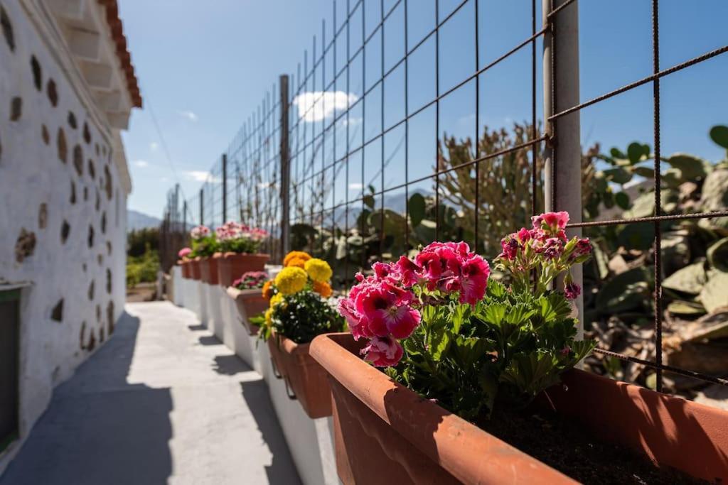 Vivienda Vacacional Ca' Pepita Y Jose El Albercon Kültér fotó