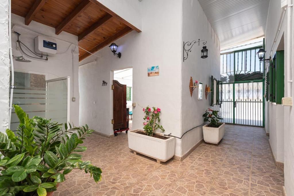 Vivienda Vacacional Ca' Pepita Y Jose El Albercon Kültér fotó