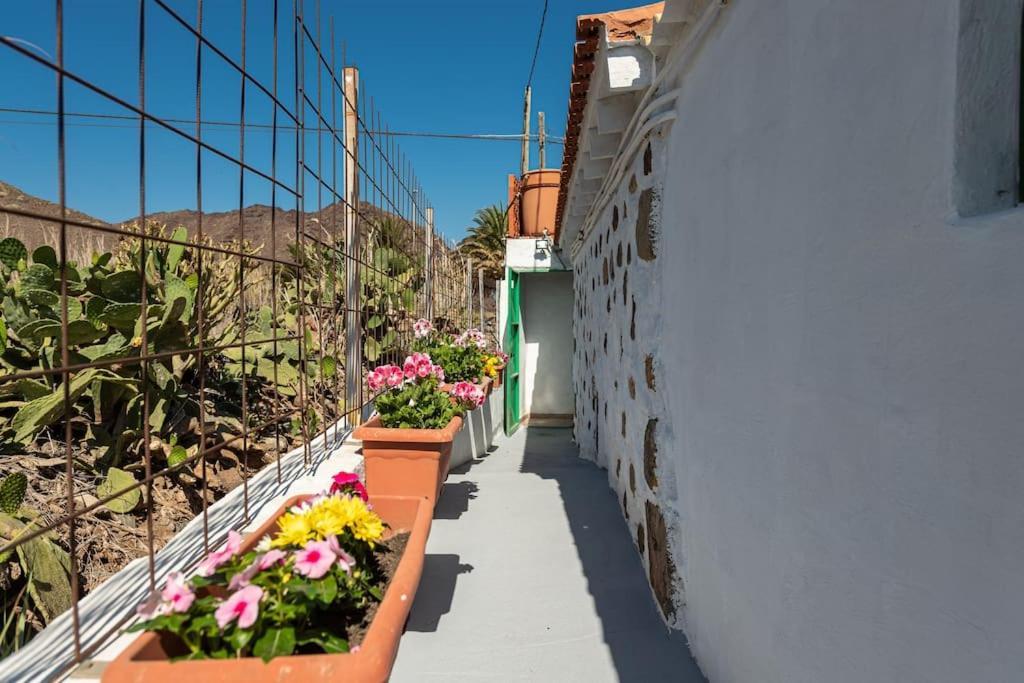 Vivienda Vacacional Ca' Pepita Y Jose El Albercon Kültér fotó
