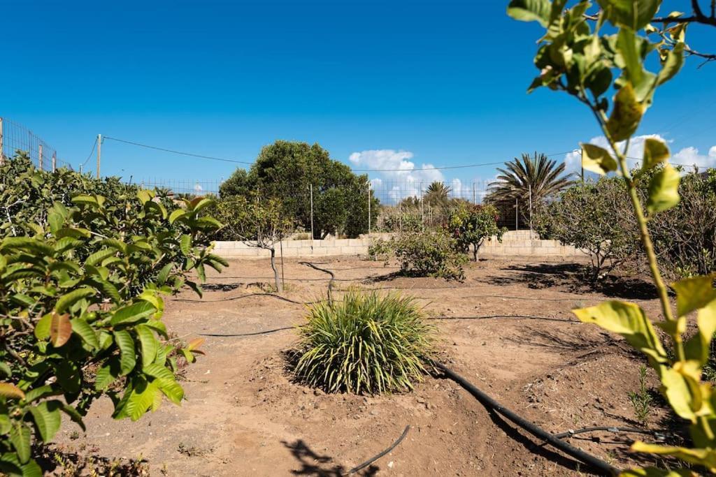 Vivienda Vacacional Ca' Pepita Y Jose El Albercon Kültér fotó
